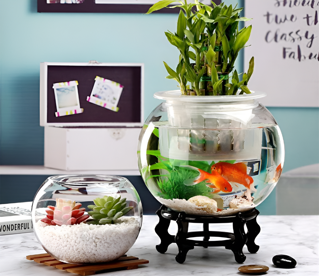 Enhancing Your Aquarium with the Right Accessories